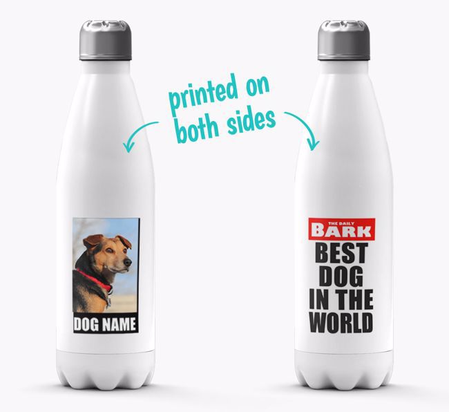 'Best Dog in the World'- Personalised Photo Upload {breedFullName} Water Bottle